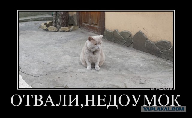 Смешные комментарии из социальных сетей 01.05.15