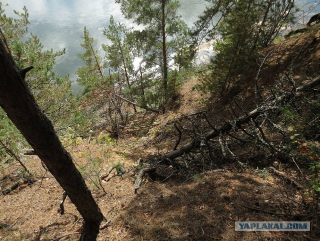 За что я люблю свой край