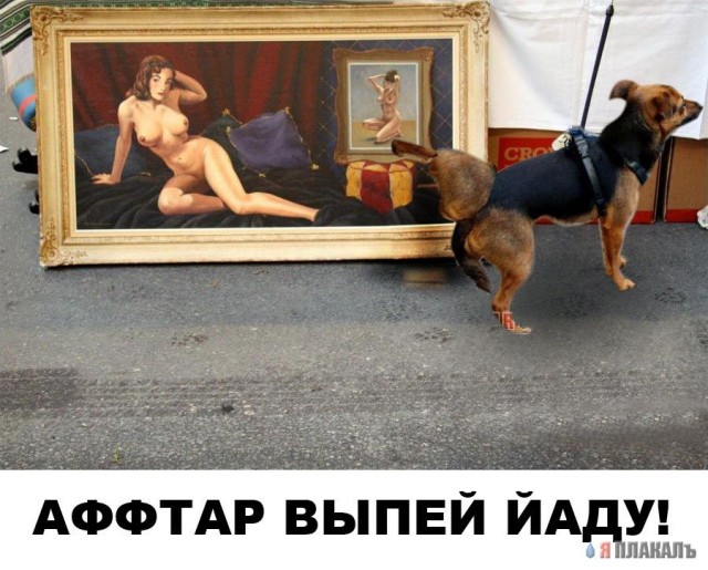 Фотожаба: Пес и высокое искусство в стиле ню