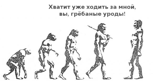 Эволюция
