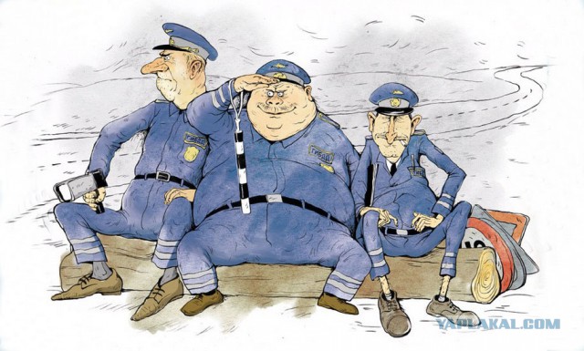 - Скажи-ка, дядя, ведь не даром в кустах ты прячешься с радаром?