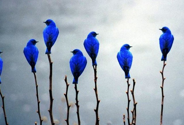 Интересные и смешные картинки!