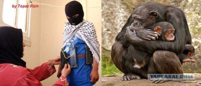 Когда одна фотография стоит тысячи слов.