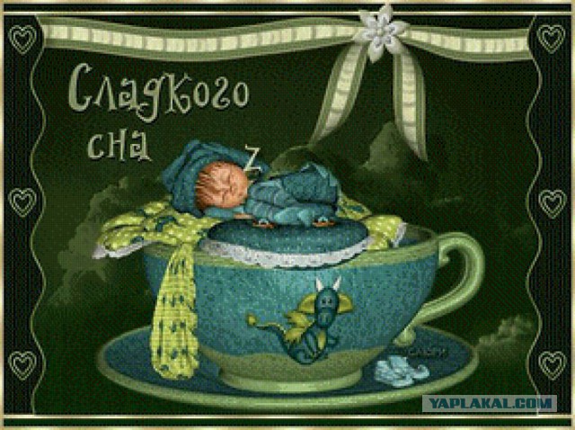Юкка: уход и размножение