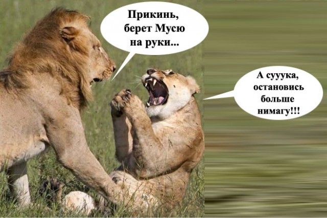 Как я познакомился с Мусей