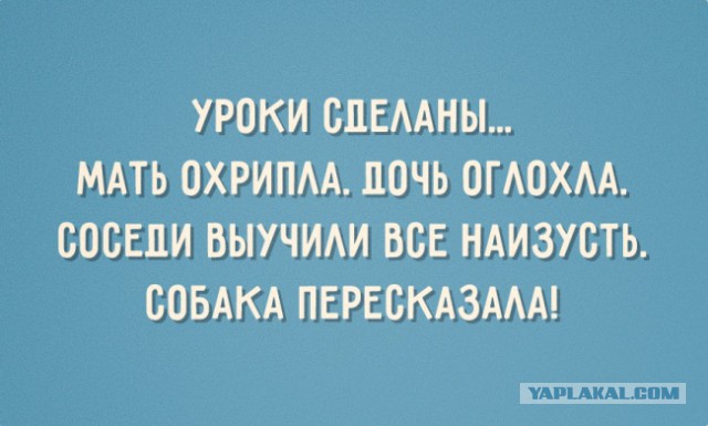 Министр образования отправит школьников на общественные работы без согласия родителей