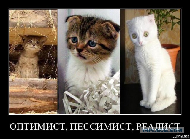 Подборка прикольных и веселых картинок
