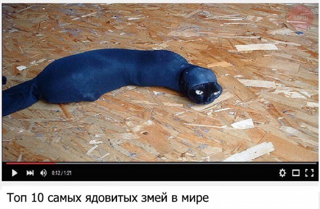 Набористый набор картинок