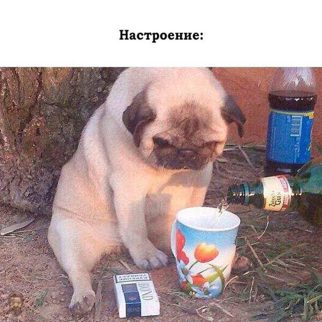 Картинки. Интересные, старые и не очень.