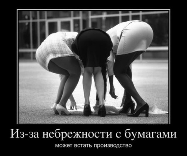 29 картинок