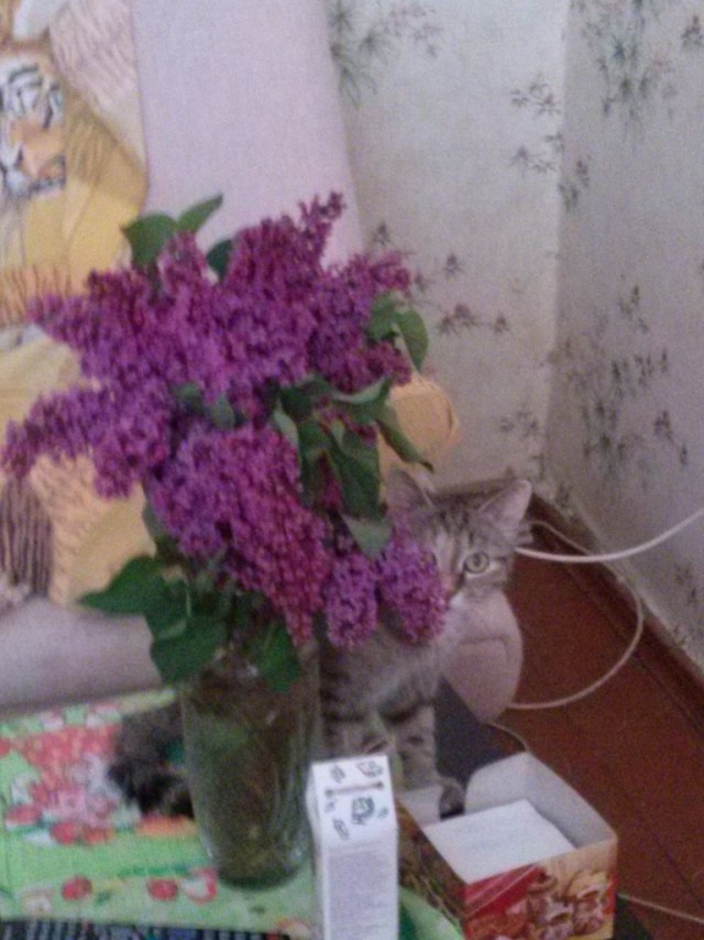 Пришёл попрощаться