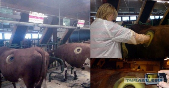 До чего дошел прогресс