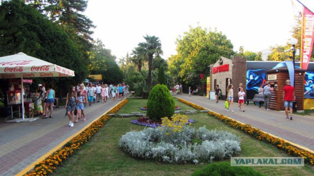 Поездка к морю