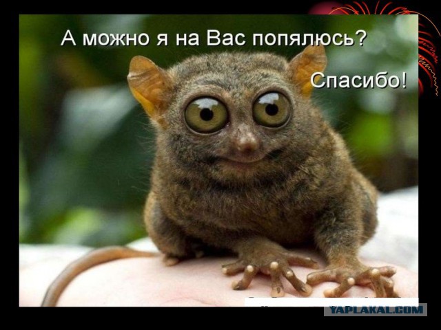 "Роснефть" будет наблюдать за имиджем Сечина