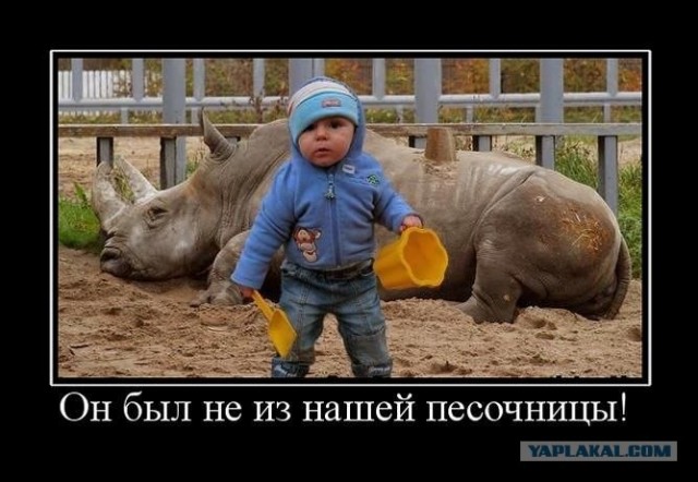 Особенности национальной парковки