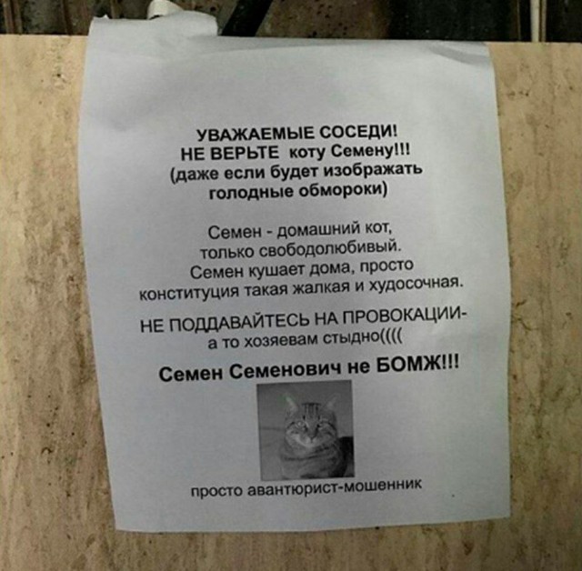 Смешные объявления, надписи и вывески
