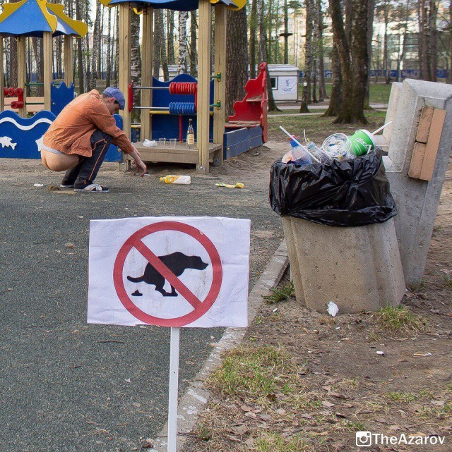 Скотсети и прочие интернеты 18.06.18