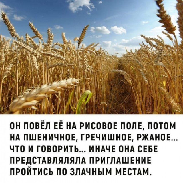 Немного картинок в эту среду