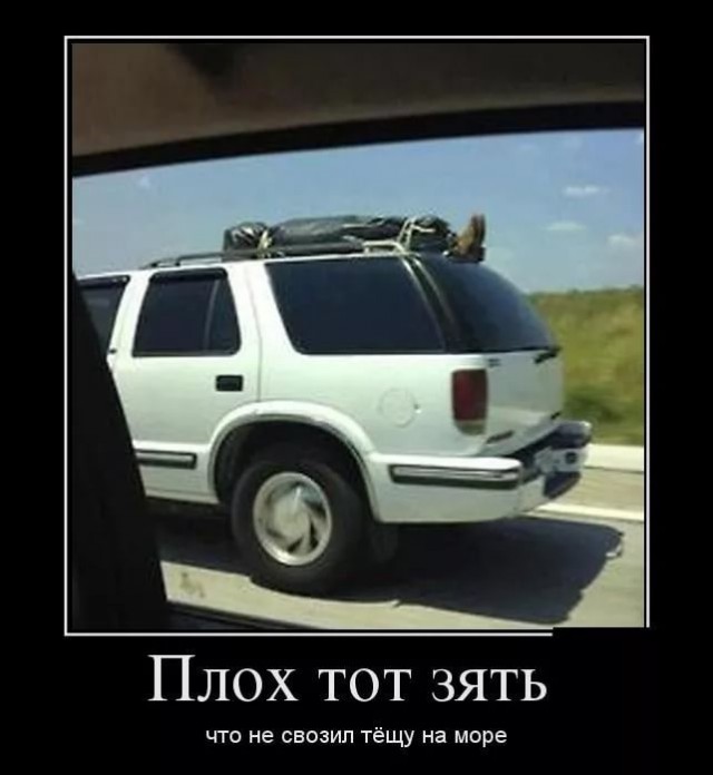 Смешные случаи с тёщами, показывающие почему про них так много анекдотов