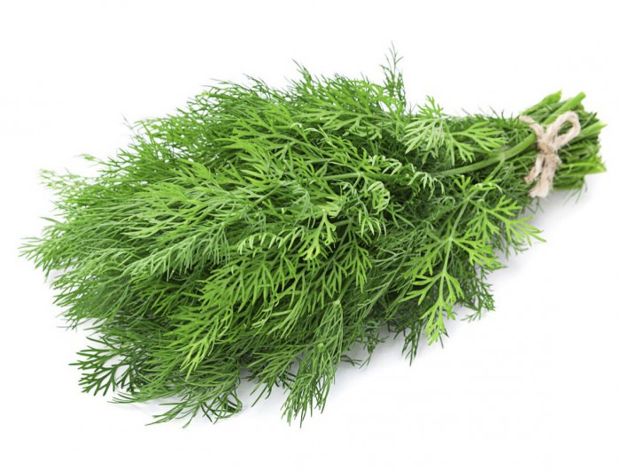 Заездные эстакады в гараж для спорткара