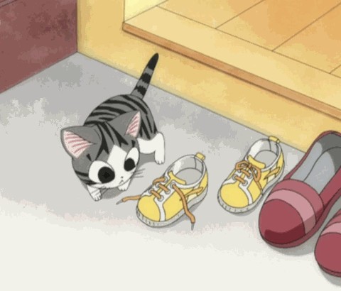 Котяка играка