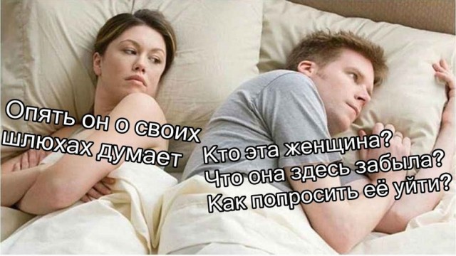Бросай политоту, картинок завезли!