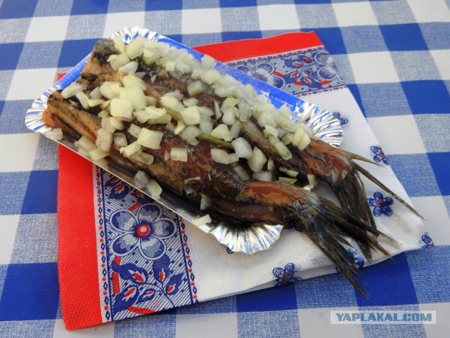Селедка-нищебродка