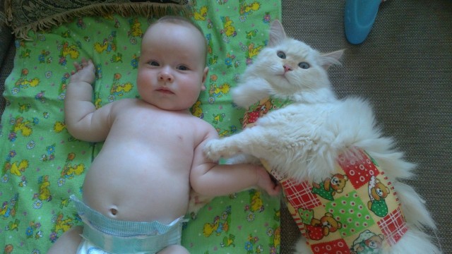 Котовторник 07.08.2012