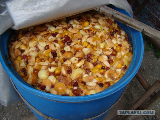 Дубовая щепа своими руками (любителям домашнего)