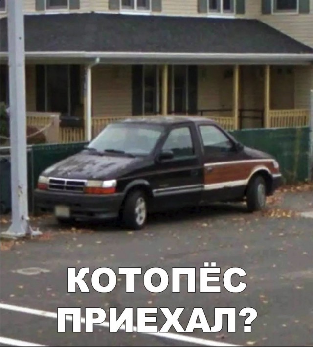 Прикольные картинки абавсём