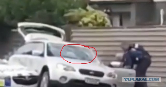 Стрельба в мечетях Новой Зеландии – подготовка ко второму 9/11?