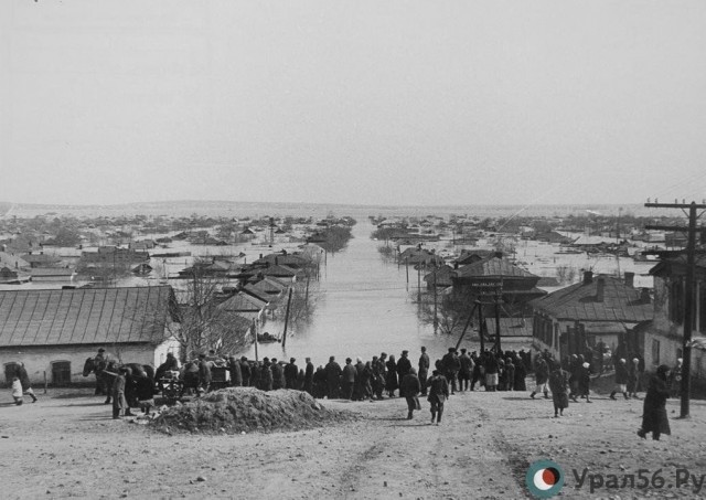 Обыденная жизнь советских людей в фотографиях Михаила Дашевского