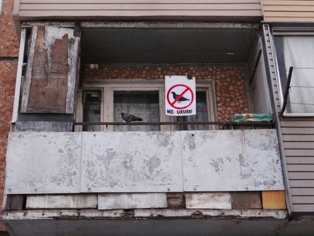 Скотсети и прочие интернеты 28.05.2019