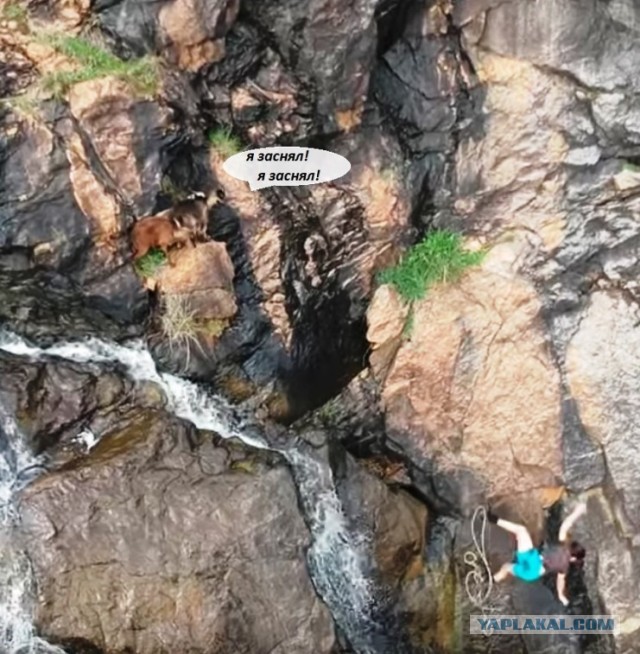 Я думал, в этом видео за горными козлами следить надо...