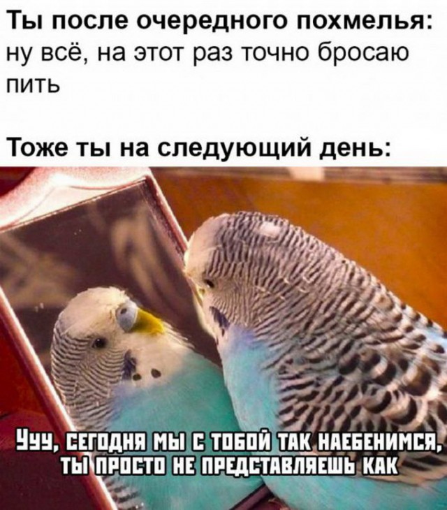 Немного картинок с надписями и без - 16