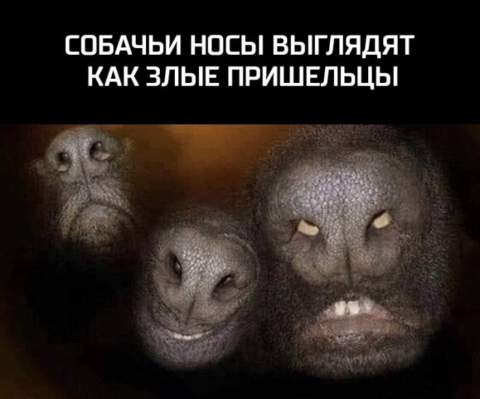 Простопост картинок с лёгким диссонансом и без