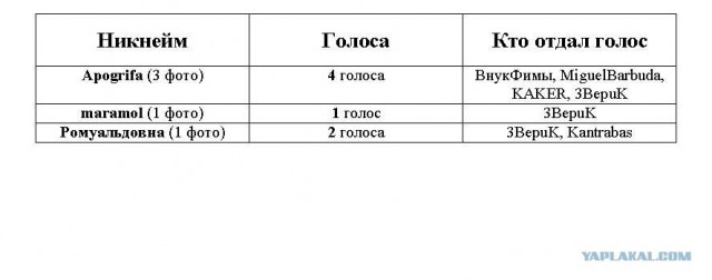 Мисс ЯП - 2012
