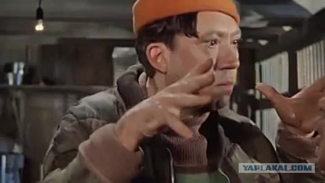 Нидерланды: На ферме в подвале обнаружена семья. Они там жили годами