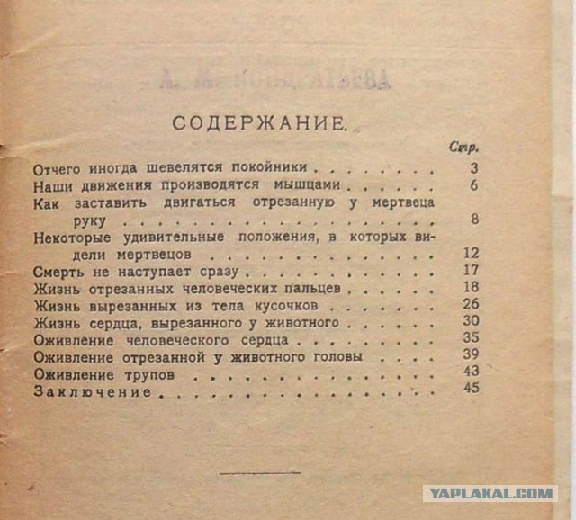 «Хруст французской булки». Какими отбросами питался простой человек до революции