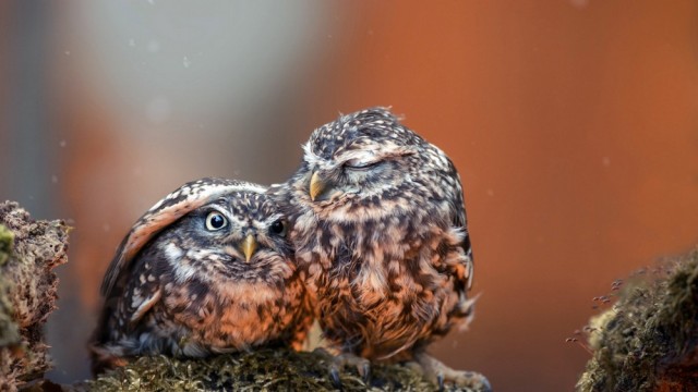 Подброка неинтересных и унылых картинок 29.11.2019