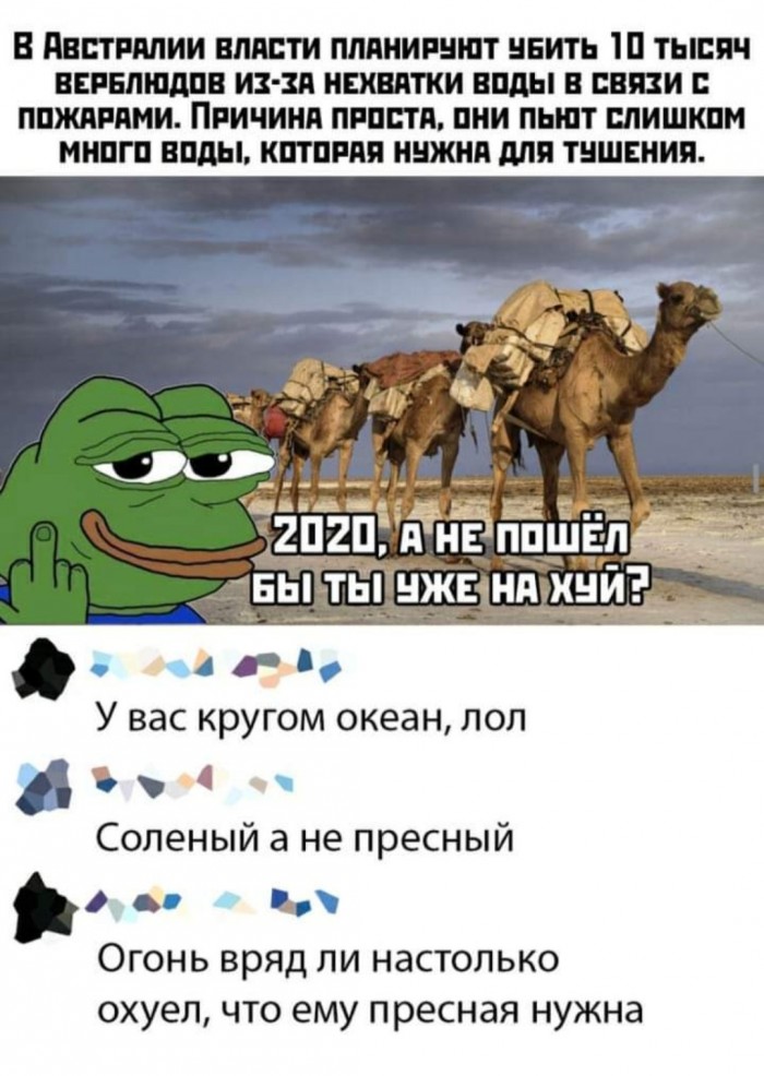 Бредзона 11.01.20