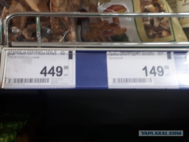 Картофельная запеканка с солёными грибами