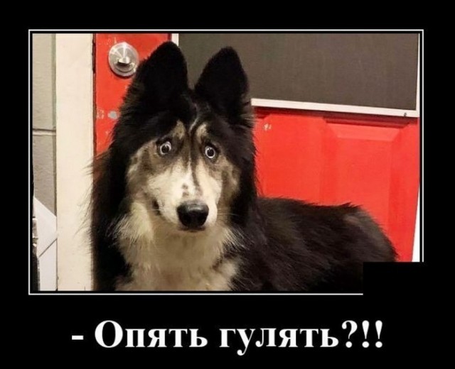 Немного картинок для настроения 29.04.20