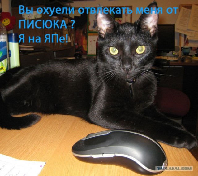 Фотожаба: Граждане!