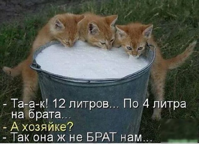 Немного картинок для настроения 117
