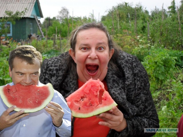 Фотожаба: Принцесса ФИОНА