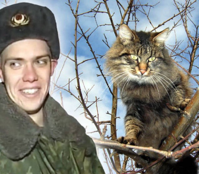 Лесная норвежская: Кошка-викинг с трёхслойной шубой научилась выживать при зубодробительных морозах
