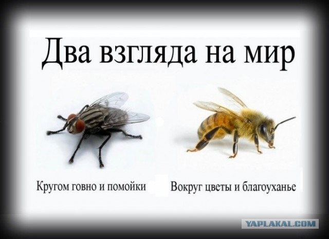 Скоро, по всей стране