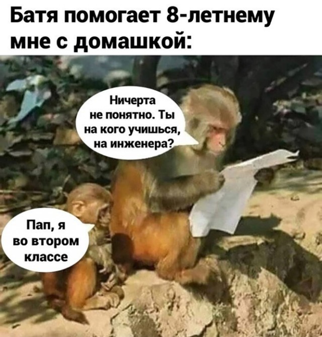 Баянисто-небаянистый юмор 15.05.21