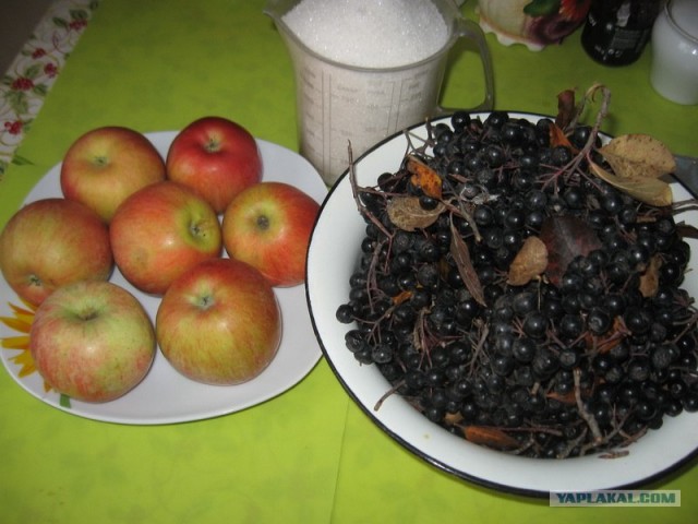 Черноплодная рябина с яблоком и сахаром